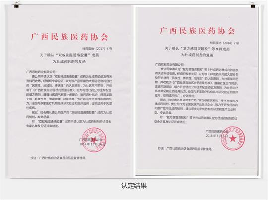 双蚁药业助力壮医药文化发展