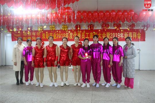 双蚁药业2018年度盛会文艺汇演精彩回顾
