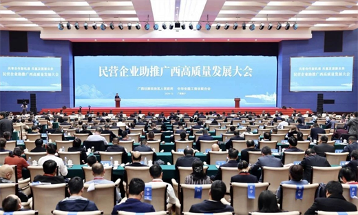 双蚁药业明星产品走进民营企业助推广西高质量发展大会